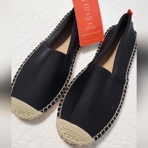 Sea Star Beachcomber